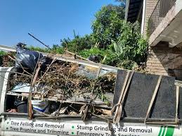 Best Estate Cleanout  in Spring Hill, FL